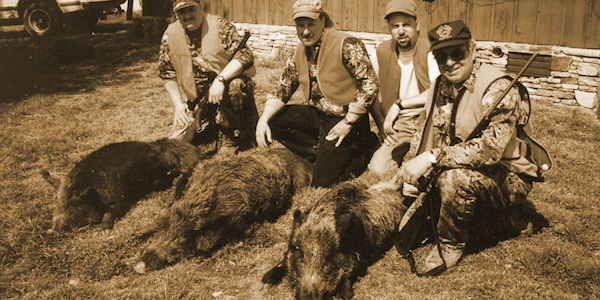 Tennessee Wild Boar header pic
